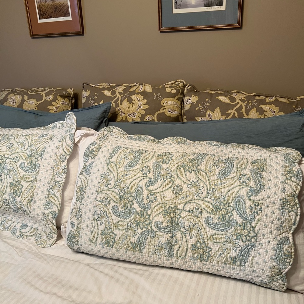 Elegant Paisley Quilted Pillow Shams, 2 standard size, great vintage condition
